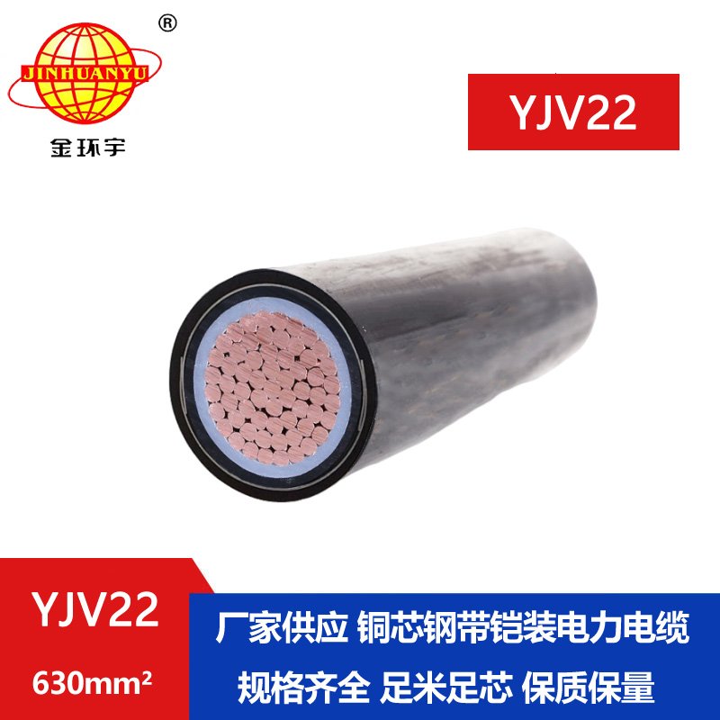 金環(huán)宇電線電纜 鎧裝電